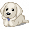 zookoo_zoo