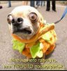 akbarova.kamila04201