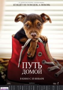 Путь домой (2019) Путь домой (2019)