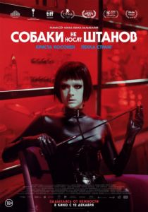 Собаки не носят штанов (2019) Собаки не носят штанов (2019)