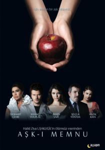 Запретная любовь (2008) Запретная любовь (2008)