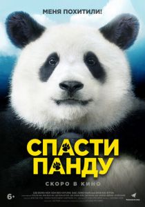 Спасти панду (2020) Спасти панду (2020)