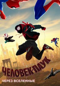 Человек-паук: Через вселенные (2018) Человек-паук: Через вселенные (2018)