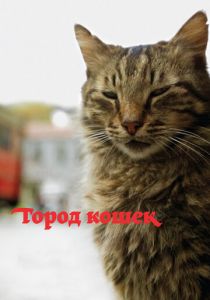 Город кошек (2016) Город кошек (2016)
