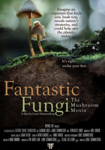 Фантастические грибы (2019) Фантастические грибы (2019)