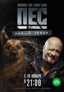 Пес (сериал, 2015) Пес (сериал, 2015)