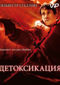 Детоксикация (2001) Детоксикация (2001)