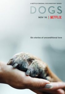 Собаки (2018) Собаки (2018)