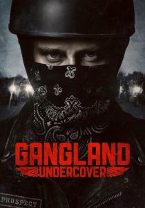 Под прикрытием (2015) Под прикрытием (2015)