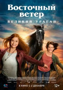 Восточный ветер. Великий ураган (2021) Восточный ветер. Великий ураган (2021)