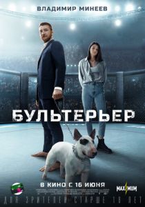 Бультерьер (2022) Бультерьер (2022)