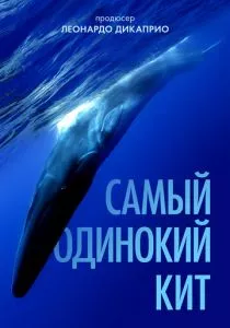 Самый одинокий кит (2021) Самый одинокий кит (2021)