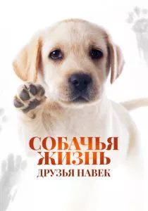 Собачья жизнь: Друзья навек (2023) Собачья жизнь: Друзья навек (2023)