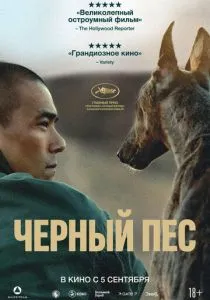 Чёрный пёс (2024) Чёрный пёс (2024)
