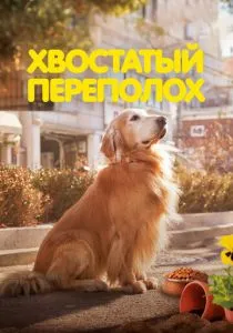 Хвостатый переполох (2024) Хвостатый переполох (2024)