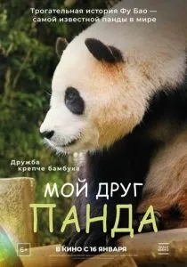 Мой друг панда (2024) Мой друг панда (2024)