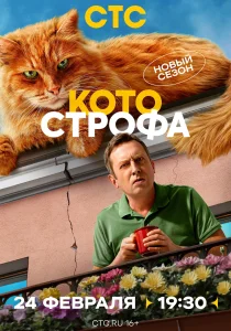 Котострофа. 2 сезон (2025) Котострофа. 2 сезон (2025)